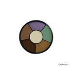 Load image into Gallery viewer, Avendida LUXE Master Concealer Palette - Professional Cream Concealer Palette