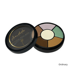 Load image into Gallery viewer, Avendida LUXE Master Concealer Palette - Professional Cream Concealer Palette