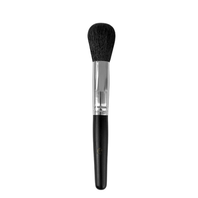 Radiant Beauty Essentials Brush Set - Avendida Collection